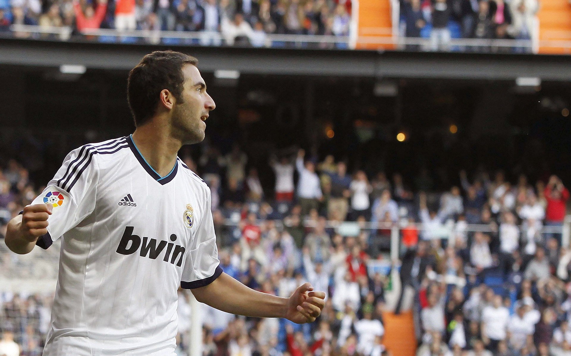 美洲杯激情之夜:英雄辈出,传奇再现,美洲杯精彩集锦