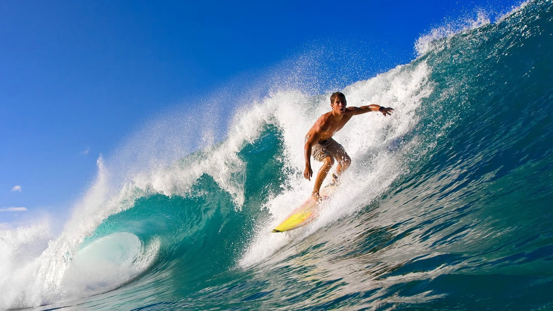 凭实力而非特权，中国在全球贸易博弈中重塑定位，中国在世界贸易